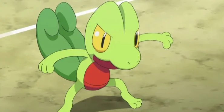 arcko pokémon starter