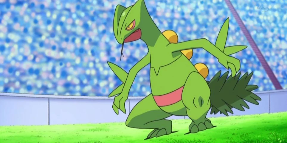 pokémon de type plante jungko