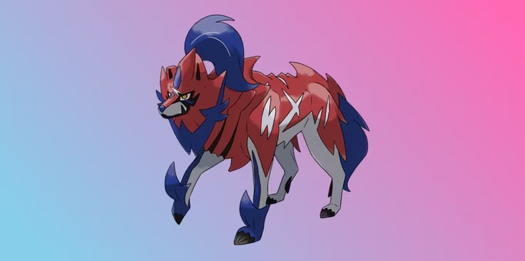pokémon zamazenta