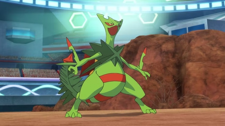 pokémon starter de type Plante arcko