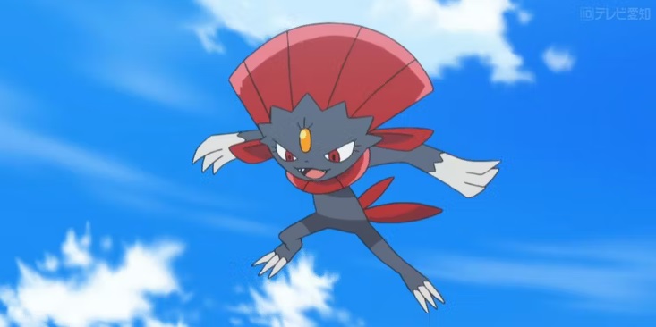 pokémon dimoret