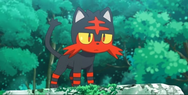 pokémon starter de type feu  flamiaou