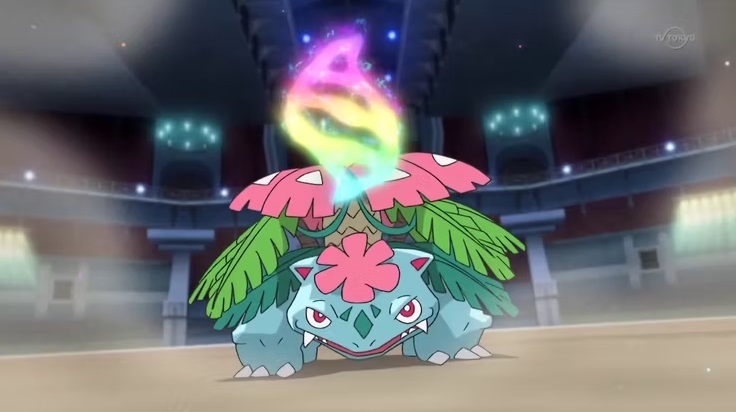 pokémon starter de type Plante bulbizarre