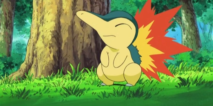 pokémon héricendre