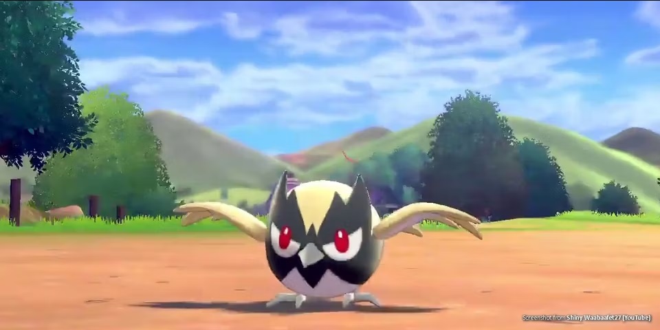 pokémon minisange