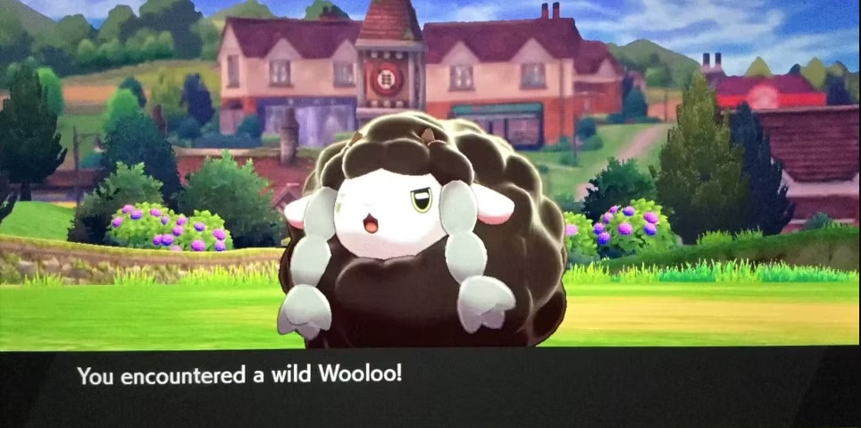 pokémon moumouton