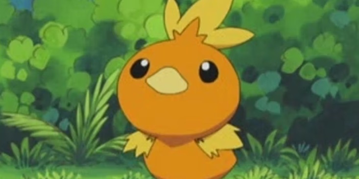 pokémon poussifeu
