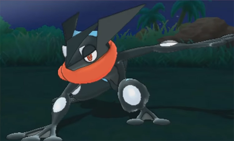 pokémon amphinobi
