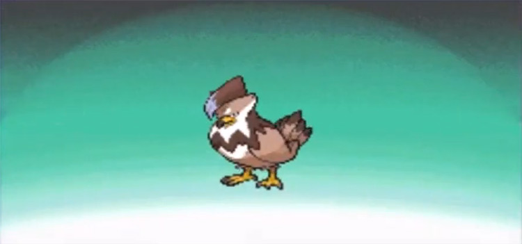 pokémon shiny de la région de Sinnoh étouraptor