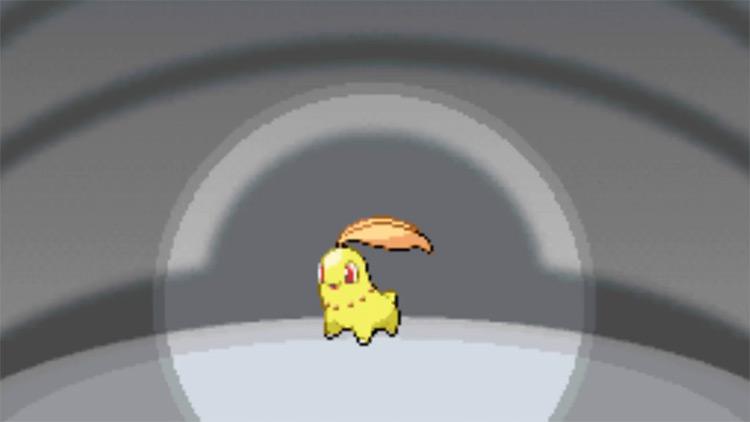 pokémon shiny de la région de Johto germignon