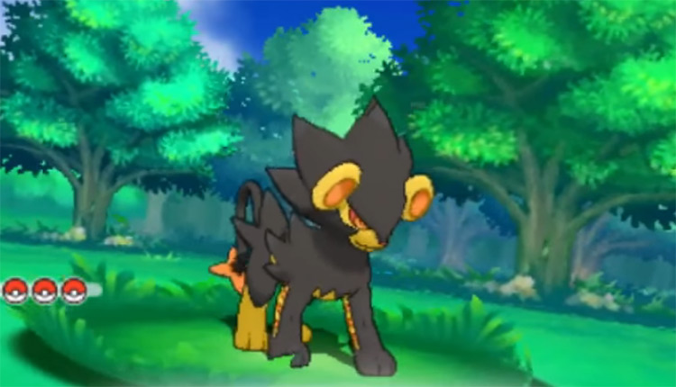 pokémon shiny de la région de Sinnoh luxray
