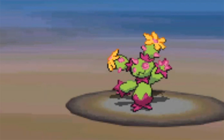 pokémon maracachi