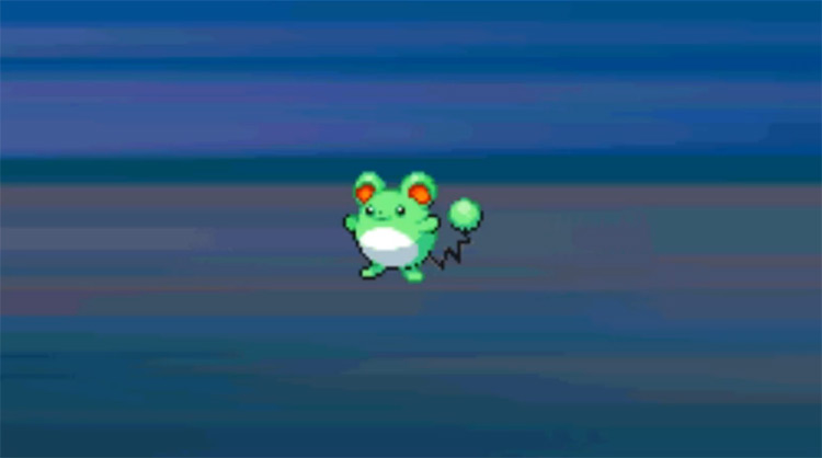 pokémon marill