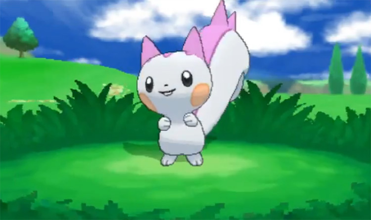 pokémon shiny de la région de Sinnoh pachirisu
