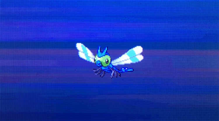 pokemon shiny yanma