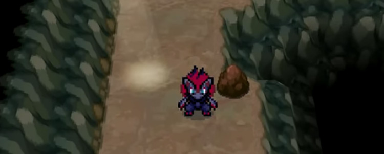 pokemon zoroark