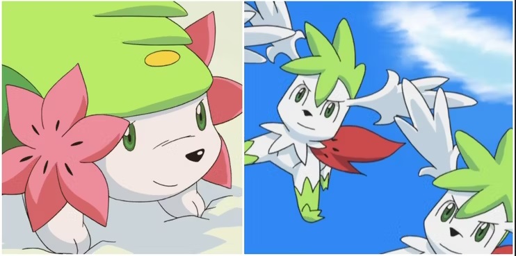 Shaymin forme céleste et terrestre