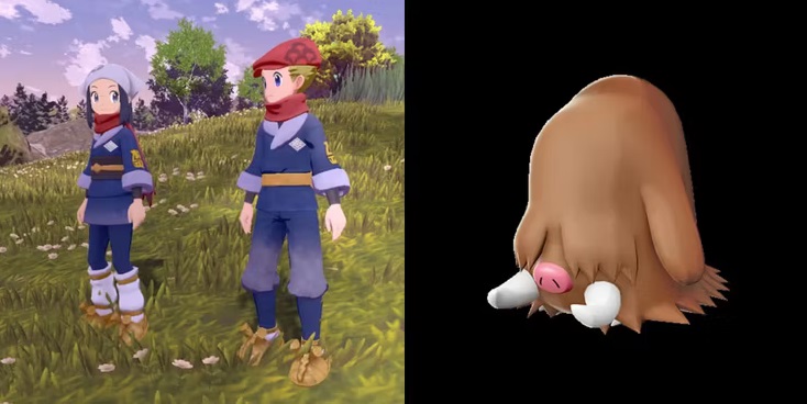 cochignon