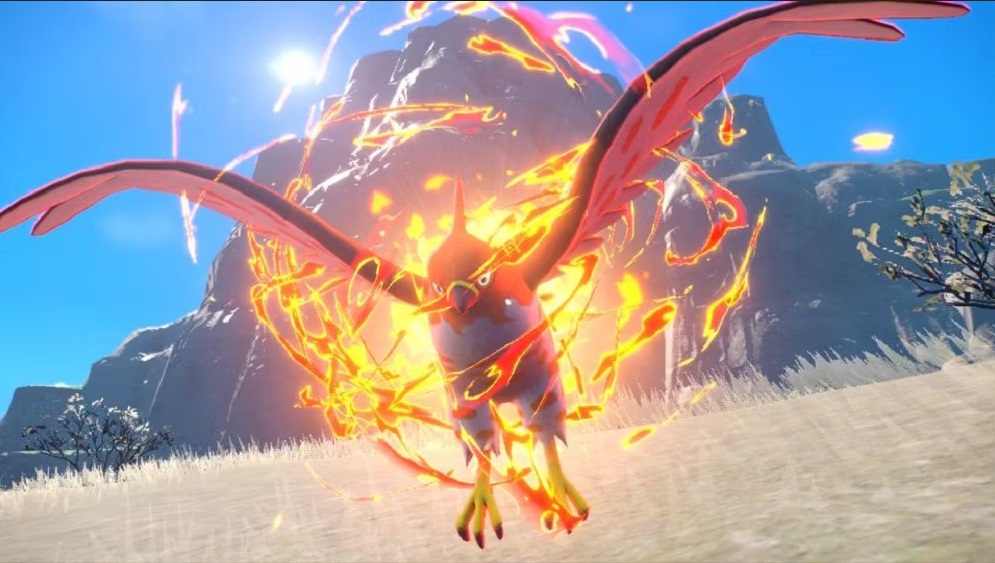 flambusard
