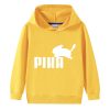 Sweat Pokémon Pika Jaune