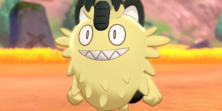 miaouss de galar