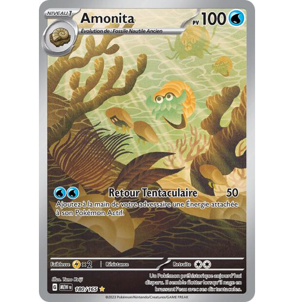 amonita