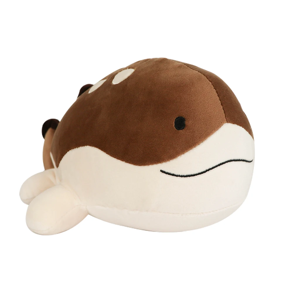 peluche-pokemon-terraiste